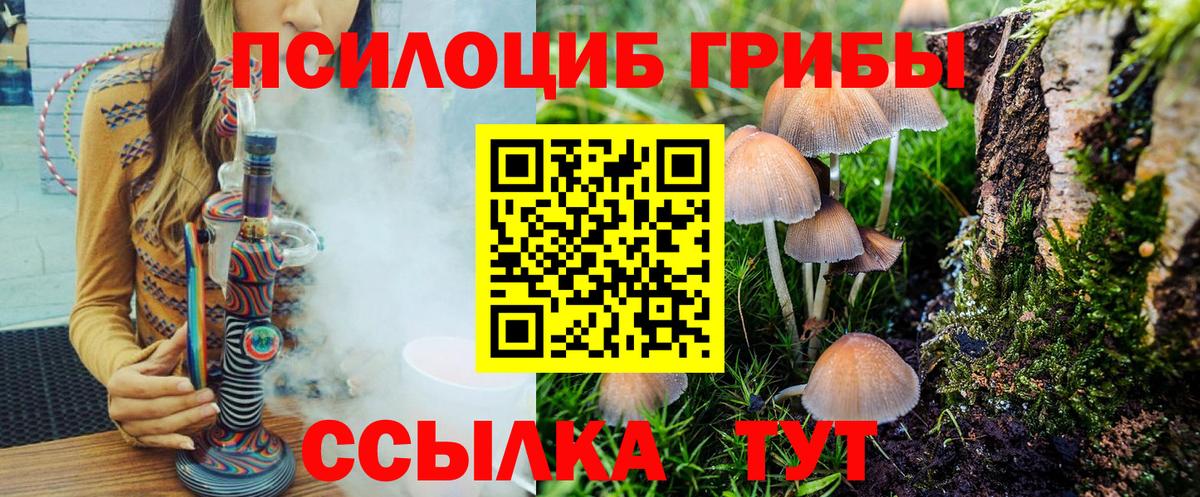 Псилоцибиновые грибы мицелий Азов