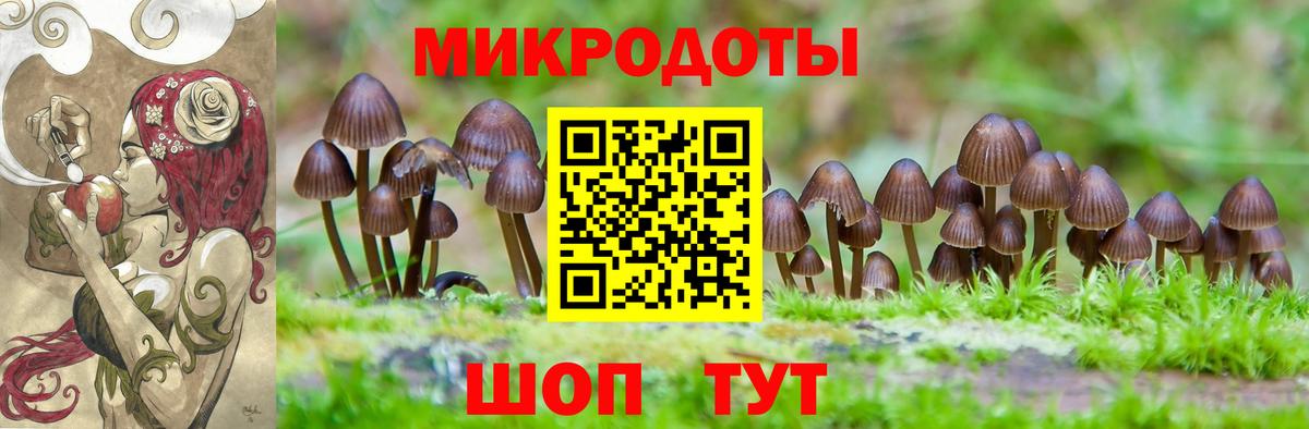 Галлюциногенные грибы мухоморы  Вход с VPN  Азов  Псилоцибиновые грибы прущие грибы 